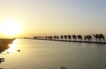 3 Days Danakil Depression Tour