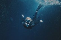 San Cristobal Galapagos 360 - Snorkeling Tour (Kicker Rock)
