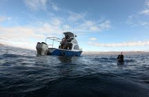 San Cristobal Galapagos 360 - Snorkeling Tour (Kicker Rock)