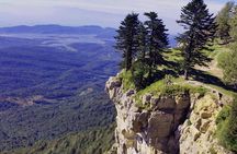 Oxygen Paradise A Day Tour to Racha Mountain