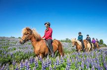 Horseback Riding Tour in Iceland