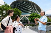 Private Singapore Tour with a Local, Highlights & Hidden Gems 100% Personalised 