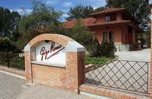 Private Tour in the Cellar and Tasting of Langhe Wines