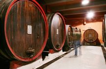 Private Tour in the Cellar and Tasting of Langhe Wines