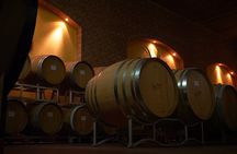 Private Tour in the Cellar and Tasting of Langhe Wines