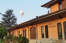 Private Tour in the Cellar and Tasting of Langhe Wines
