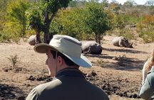 3 Hour Game Drive in Mosi-Oa-Tunya National Park 