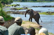 3 Hour Game Drive in Mosi-Oa-Tunya National Park 