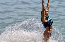 interactive dolphin experience 