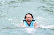 interactive dolphin experience 