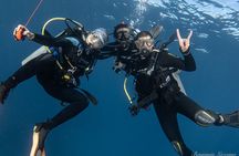 Private Beginner Scuba Diving Experience in Cabo San Lucas