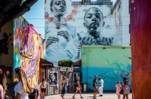 Miami City and Boat Tour Little Havana Included Plus FREE Bike Rental in SoBe