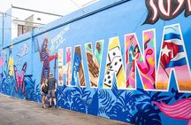 Miami City and Boat Tour Little Havana Included Plus FREE Bike Rental in SoBe