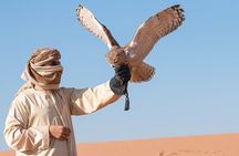 Desert Safari Dubai with BBQ Buffet Dinner