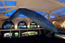 American Museum of Natural History Admission Ticket
