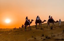 Thrilling 4-Hour Dune Bashing & Camel Ride Safari to Inland Sea