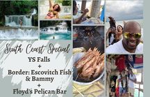 Full Day to YS Falls, Border & Floyd's Pelican Bar