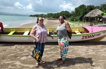 Full Day to YS Falls, Border & Floyd's Pelican Bar