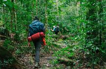 Aural Mountain Trek: Cambodia Tallest Peak Challenge