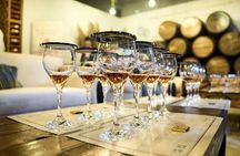 Degustación Exclusiva de Ron Caribeño en Punta Cana.