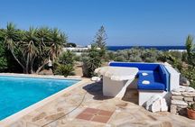 Private Wine & Olives Tasting Experience: Beach View Villa Paros