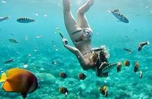  Bali Blue Lagoon Snorkeling with All - Inclusive Tour