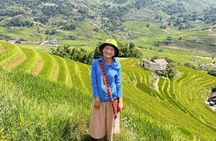 Sa Pa: Muong Hoa Valley Trek and Local Ethnic Villages Tour