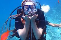 Hula Hula Paradise Island Sea Trip with One Stop Diving _Hurghada