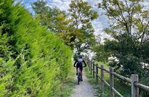 E-Bike tour and Wine tasting from Desenzano Inland