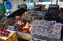 Private Gastronomic Tour Valparaiso