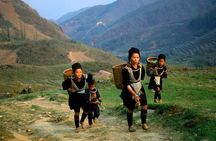Full-Day Motor Bike Tour in Sapa with Rice Fields & Valleys Visit