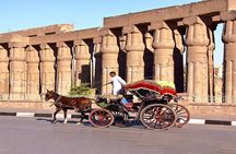 Private 5 Hour Tour in Luxor by Horse Carriage