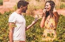 Minoan Crete from 3.000 BC: Knossos Palace & Museum with Wineries from Heraklion