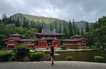 Next Level Oahu Circle Island Tour Snorkel w/Turtles and Byodo-In