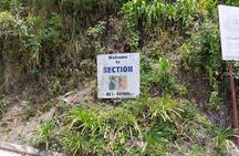 Blue Mountain Sight-Seeing & Nature Trail Hike with Private Guide