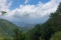 Blue Mountain Sight-Seeing & Nature Trail Hike with Private Guide
