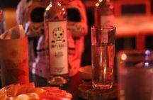 Authentic Artisanal Mezcal tasting in Cancun with appetizers.