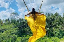  Private Ubud Tour with Swing