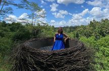  Private Ubud Tour with Swing