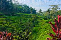 Full-Day Private and Guided Tour Around Ubud