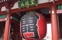 Private Day Tour in Tokyo with Government-Licensed Guide