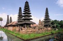 Private Tour of Beratan Lake and Banyumala Waterfall 
