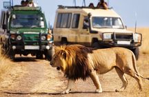 4 Days Private Tour at Kruger National Park & Blyde River Canyon