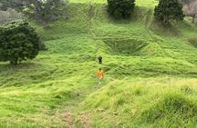 Discover Auckland City Half-Day Tour