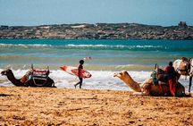 Excursion Full Day (Private) from Marrakech to Essaouira 