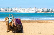 Excursion Full Day (Private) from Marrakech to Essaouira 