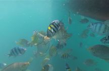 Koh Rong Snorkeling Tour (Private)