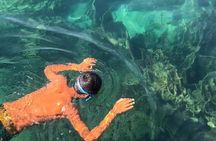 Koh Rong Snorkeling Tour (Private)