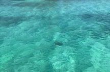 Snorkeling With The Turtles 