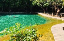 Emerald Pool: Jungle Tour, Private Full Day with Lunch